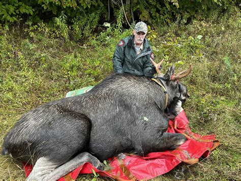 2022 maine moose lottery.